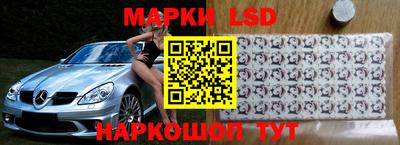 спиды Новодвинск