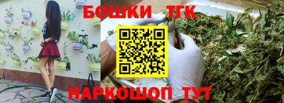 спиды Новодвинск