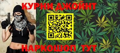 спиды Новодвинск