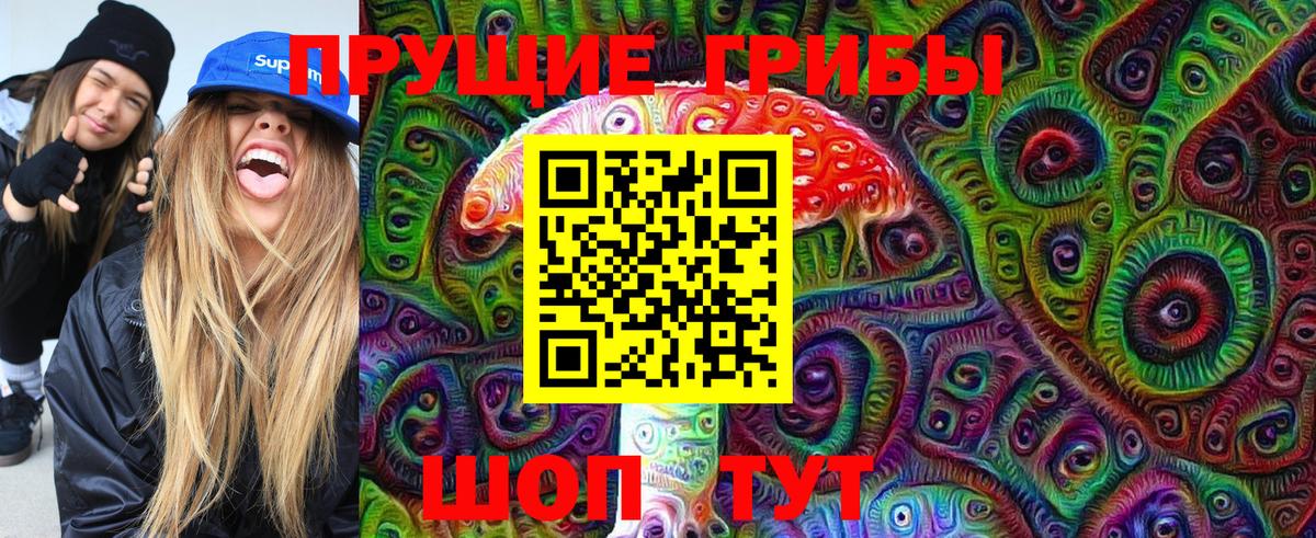 Галлюциногенные грибы мицелий  Галлюциногенные грибы Psilocybine cubensis  Донецк 