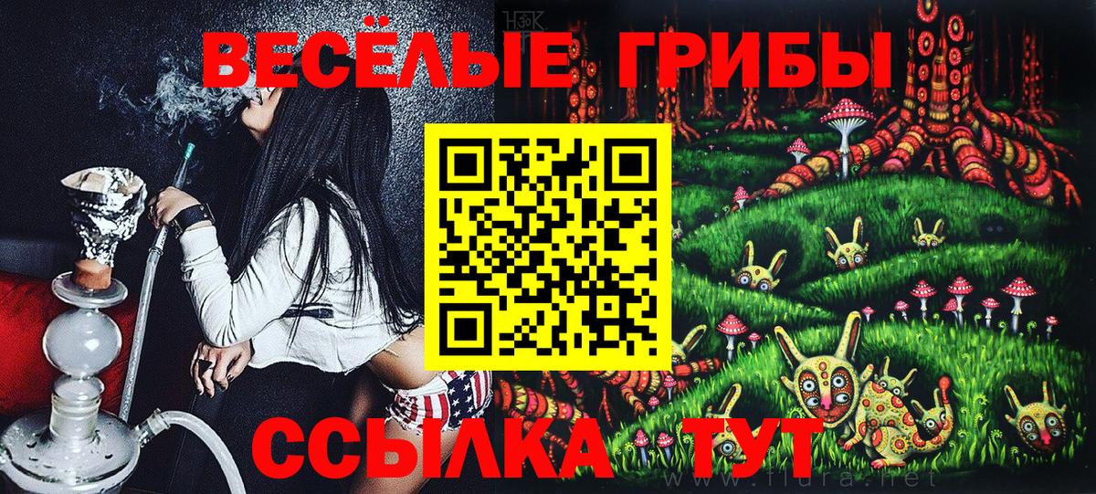 Псилоцибиновые грибы MAGIC MUSHROOMS  Вход с VPN  Донецк 